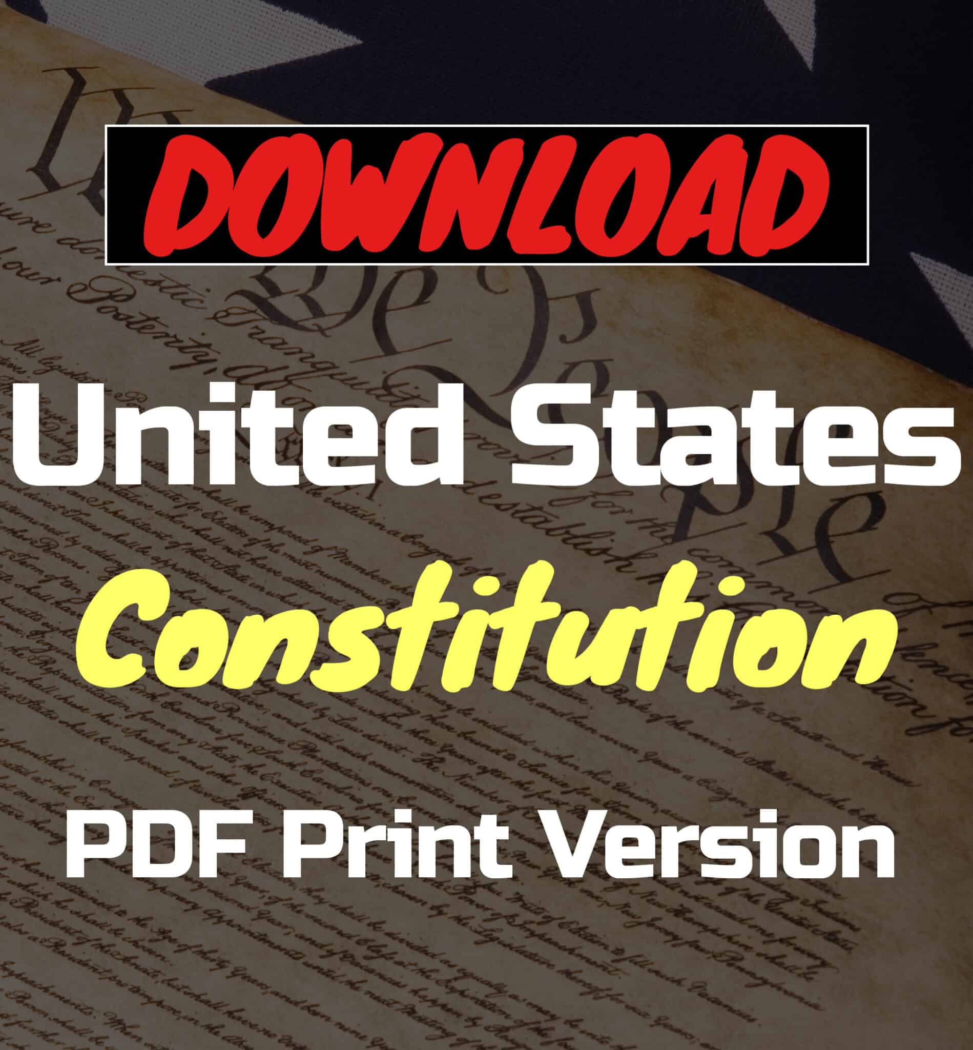 US Constitution button