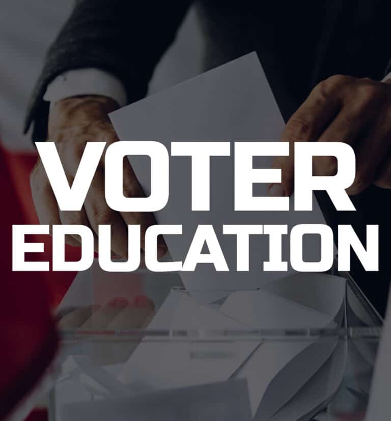 voter education button